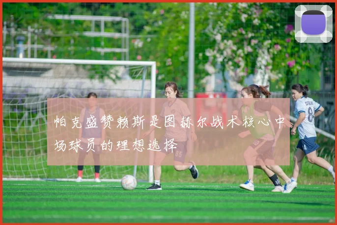 帕克盛赞赖斯是图赫尔战术核心中场球员的理想选择